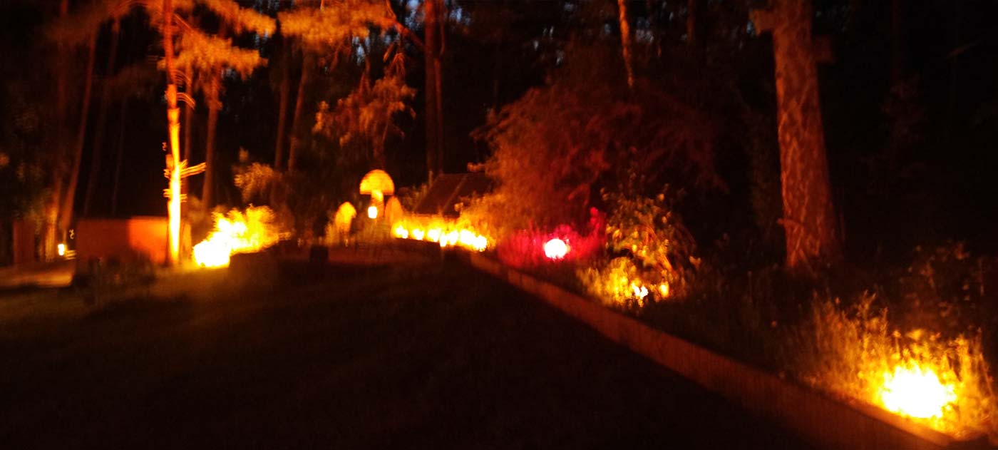 Garten und Gartengestaltung mit Licht im Waldhaus
