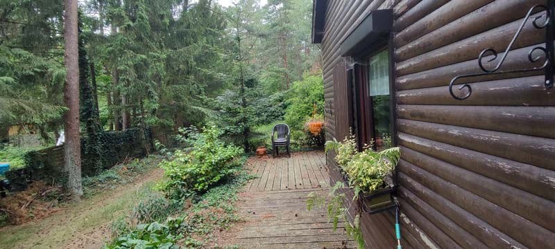 Garten vor der Renovierung